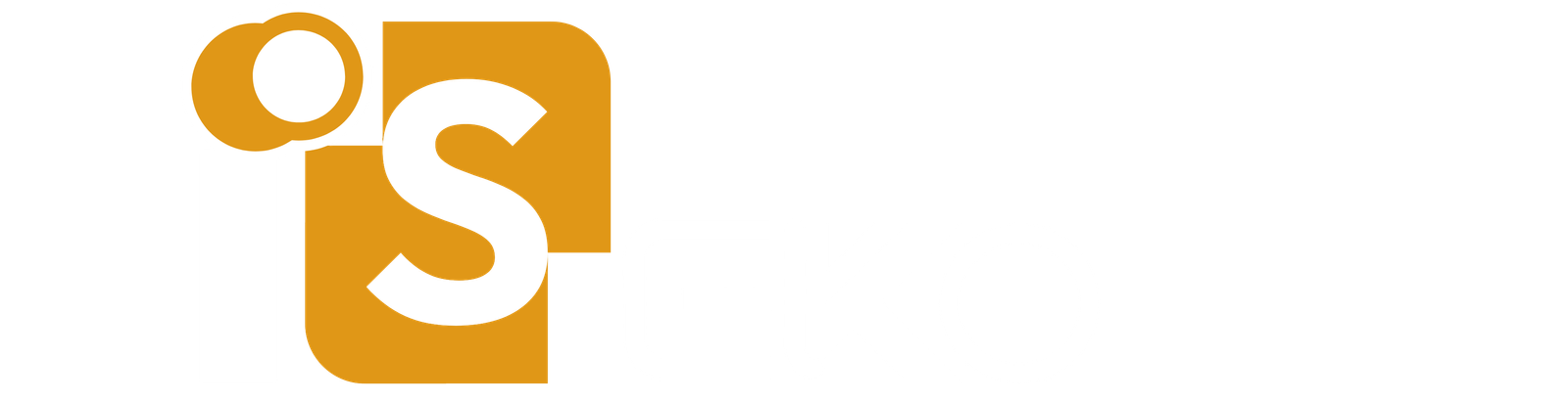 Digital Success and Growth Agency